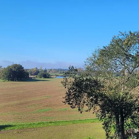 Отель Schuetzenhaus Бад-Дюбен