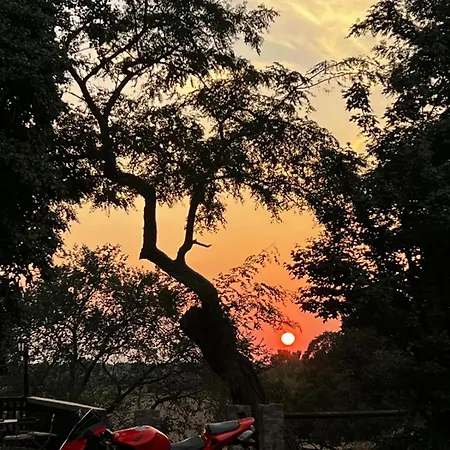 Отель Schuetzenhaus 3*