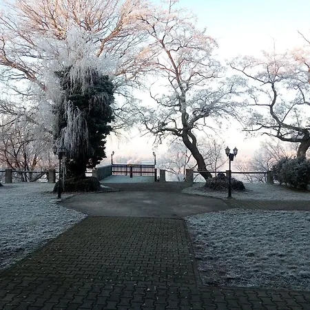 Schuetzenhaus 3* Бад-Дюбен